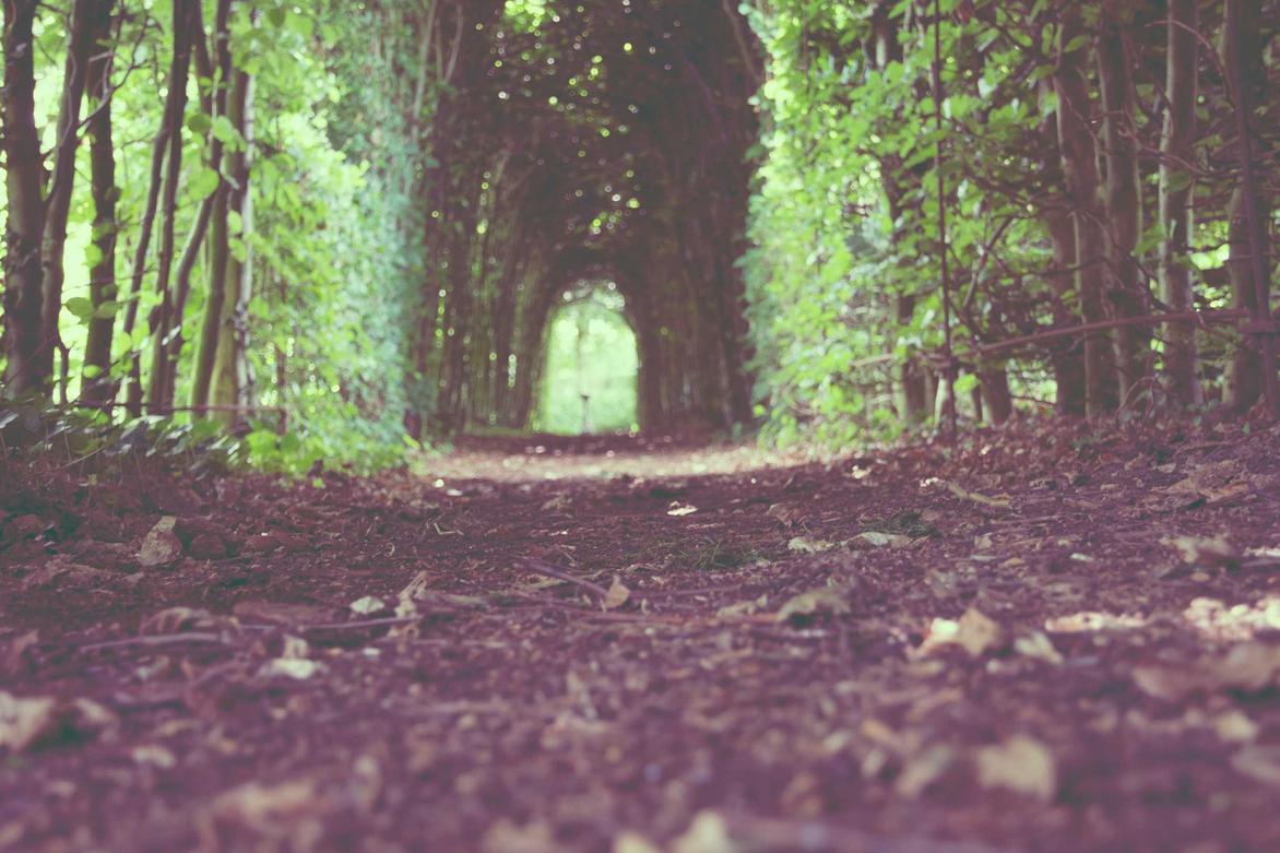 Ut modi nisi quia autem at non quo blanditiis est totam