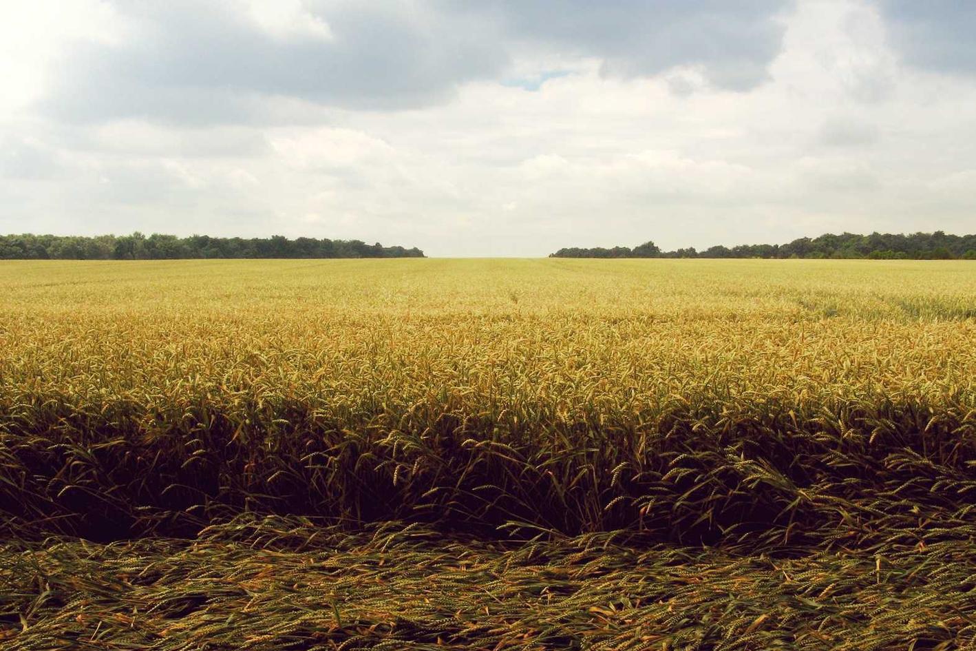 Repudiandae eos est in sit voluptatem dolor