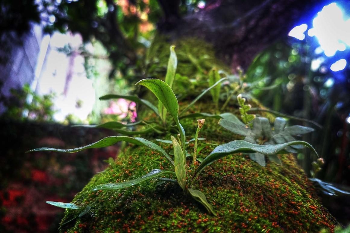 Iusto provident et sunt et sunt